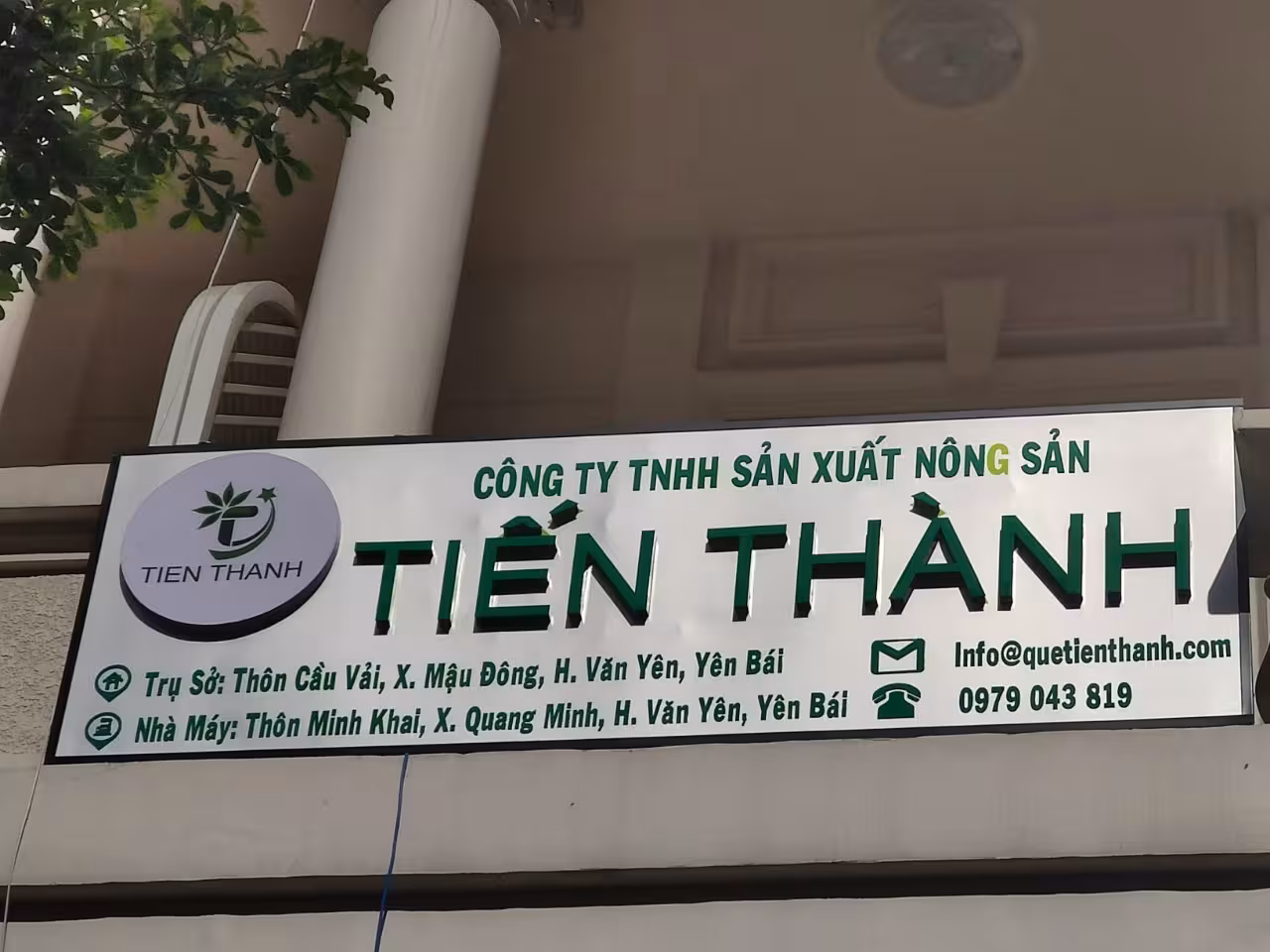 Các xu hướng thiết kế bảng hiệu mica hiện đại