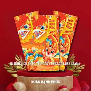mau bao li xi 2025098