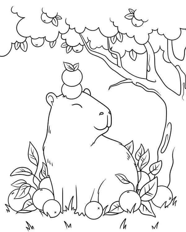 100 tranh to mau capybara cute tu de den kho phu hop moi lua tuoi 11999 11