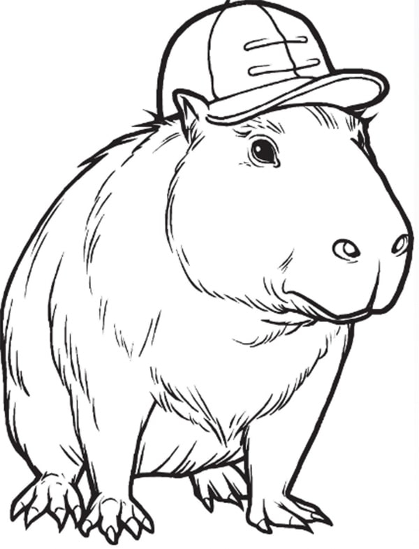 100 tranh to mau capybara cute tu de den kho phu hop moi lua tuoi 11999 19