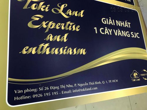 In PP bồi formex