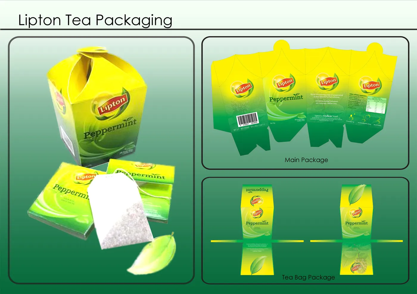 Thiết kế Bao bì Hướng dẫn Từng Bước Tự Thiết kế Bao bì Sản phẩm Dành cho Người Mới Bắt Đầu