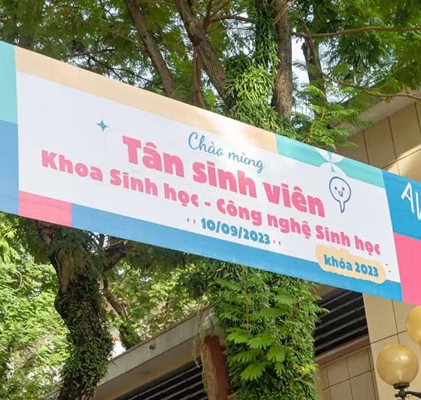 In phông bạt quảng cáo có nhiều loại khác nhau, mỗi loại đều có đặc điểm và ứng dụng riêng