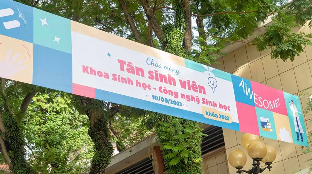 In phông bạt quảng cáo có nhiều loại khác nhau, mỗi loại đều có đặc điểm và ứng dụng riêng