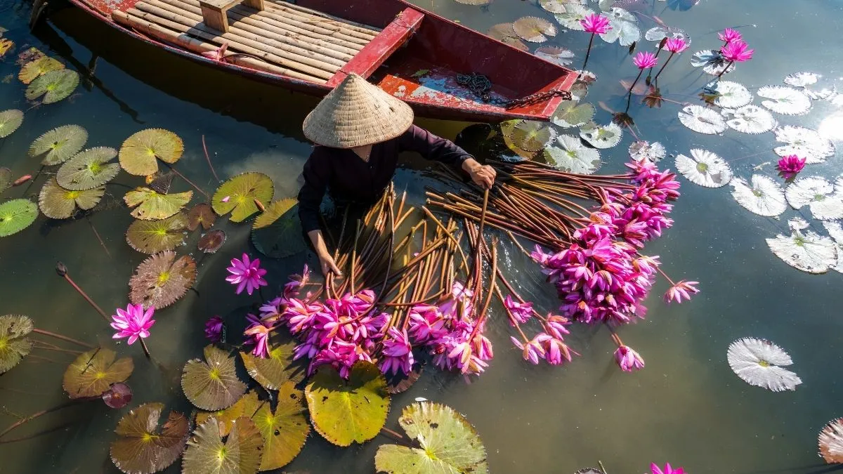 Anh Dep Hinh Nen Dep Innhanh.pro .vn 94