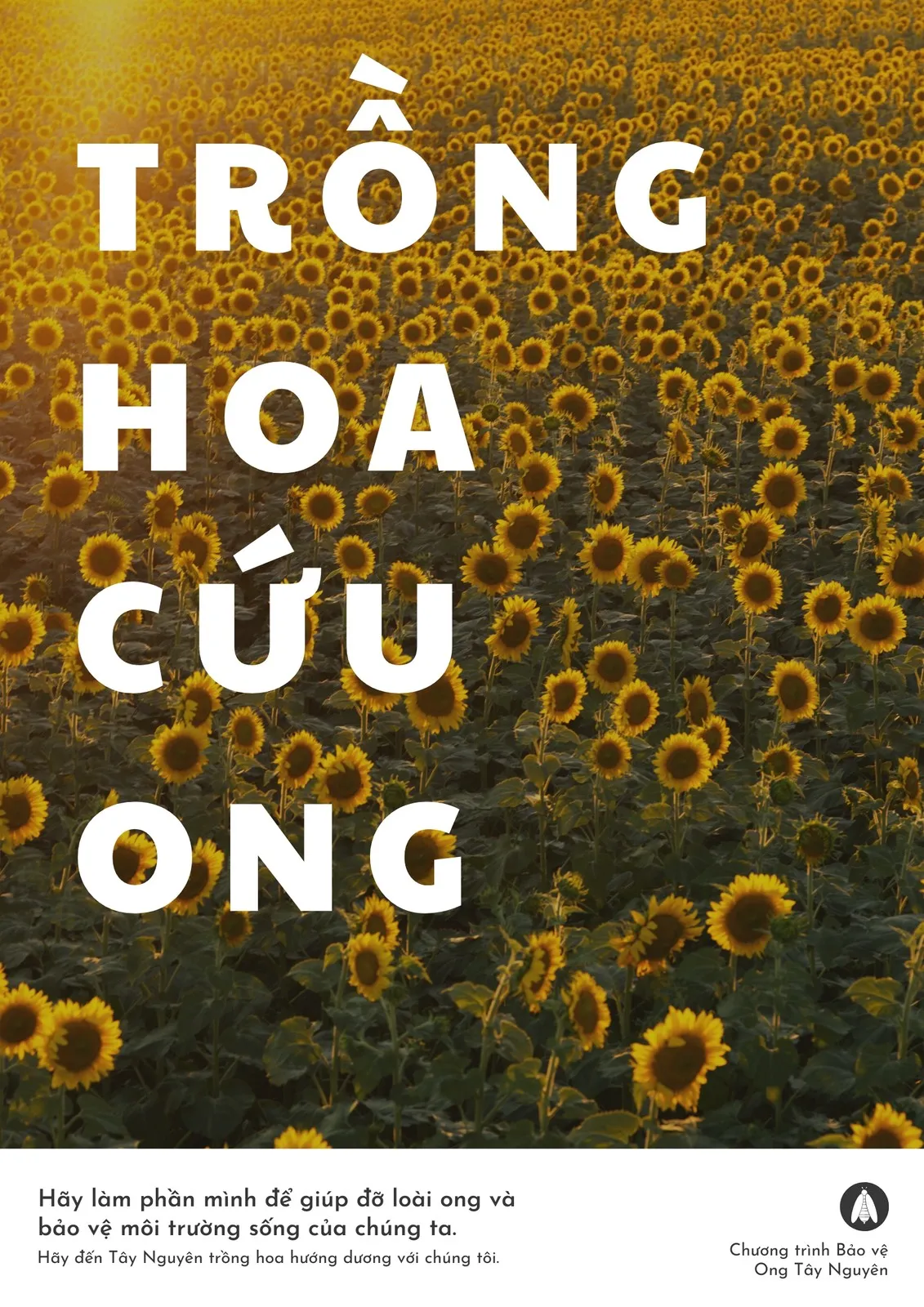 Poster bao ve moi truong innhanh.pro .vn15