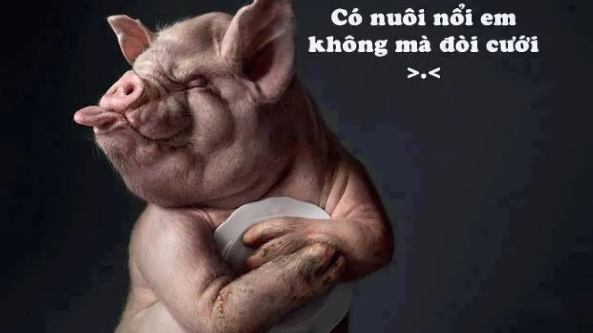 hinh anh hai huoc Innhanh.pro .vn02