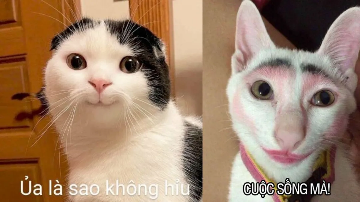 hinh anh hai huoc Innhanh.pro .vn12