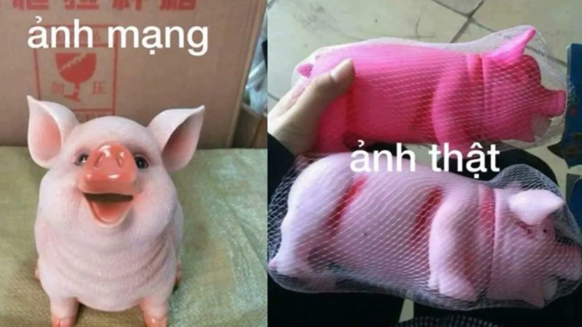 hinh anh hai huoc Innhanh.pro .vn92