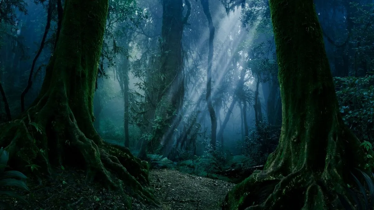 hinh nen desktop 7