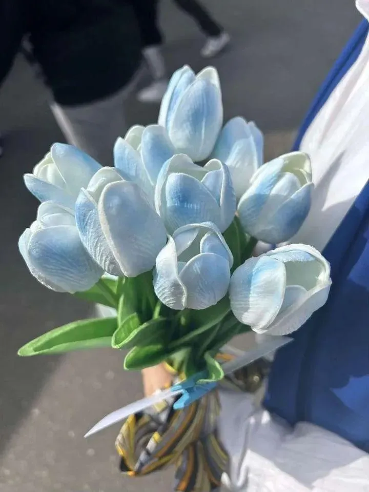hinh nen hoa tulip innhanh.pro .vn 106
