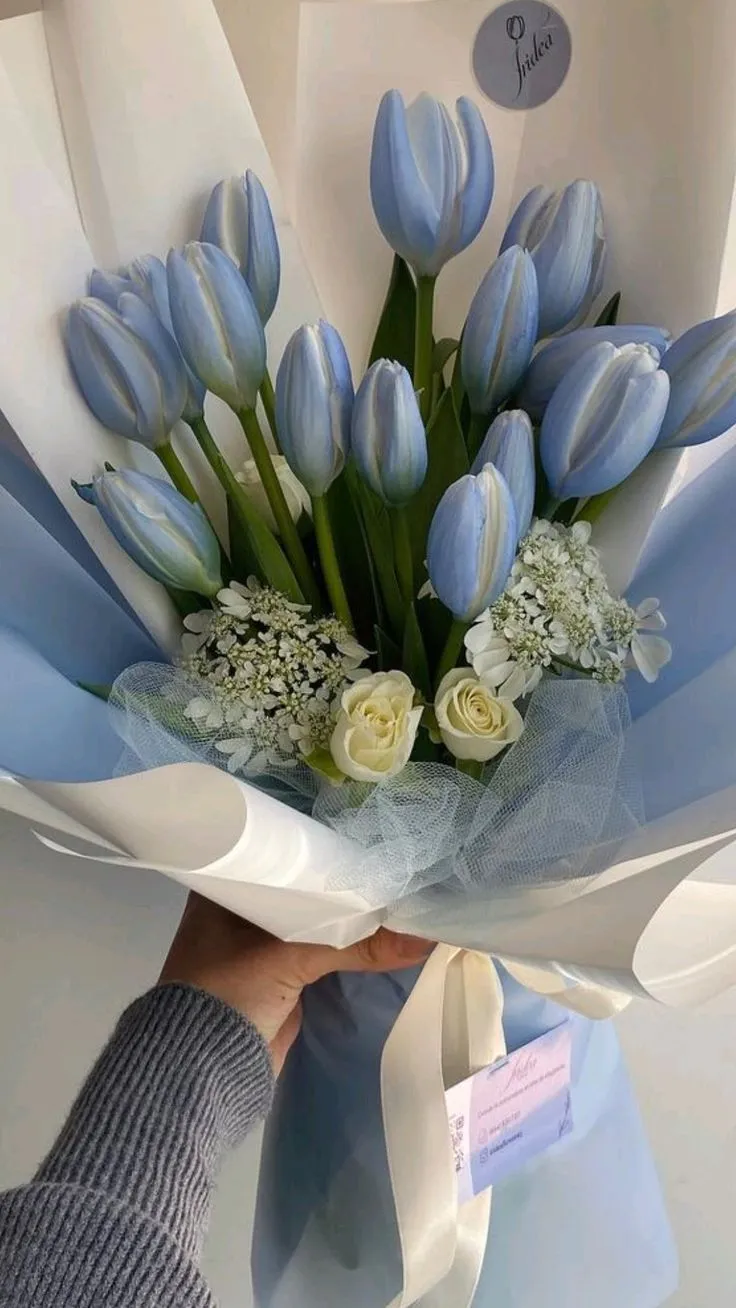 hinh nen hoa tulip innhanh.pro .vn 107