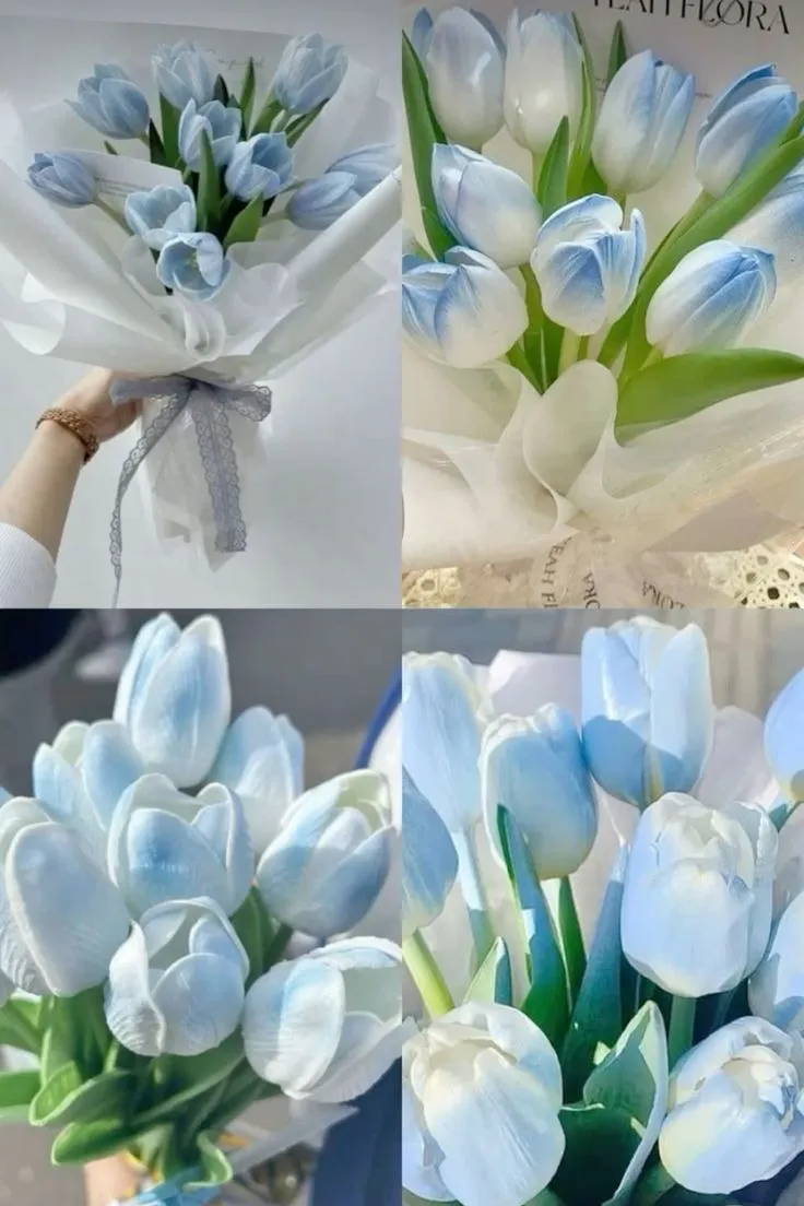 hinh nen hoa tulip innhanh.pro .vn 109