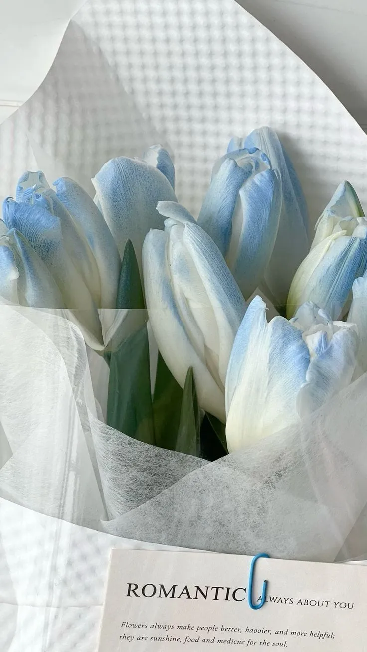 hinh nen hoa tulip innhanh.pro .vn 110