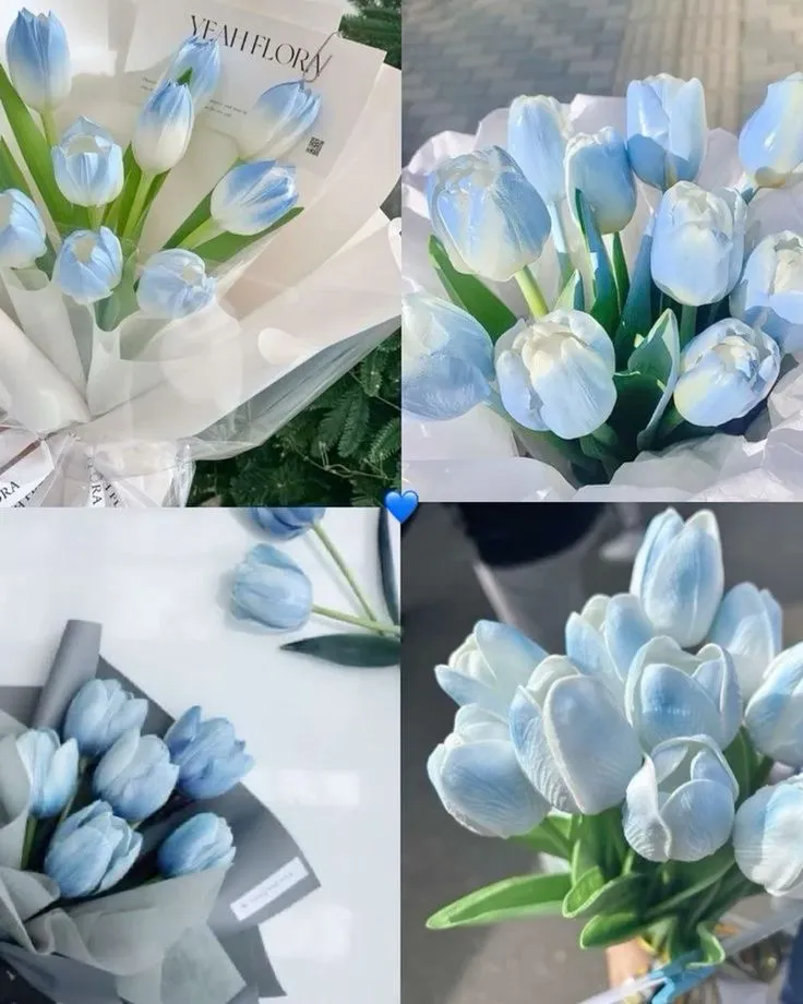 hinh nen hoa tulip innhanh.pro .vn 111