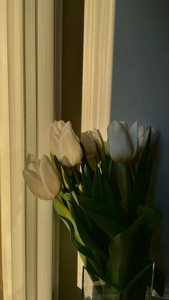 hinh nen hoa tulip innhanh.pro .vn 120