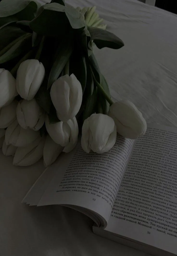 hinh nen hoa tulip innhanh.pro .vn 126