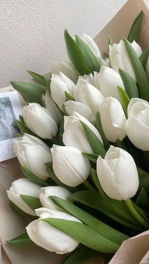 hinh nen hoa tulip innhanh.pro .vn 71