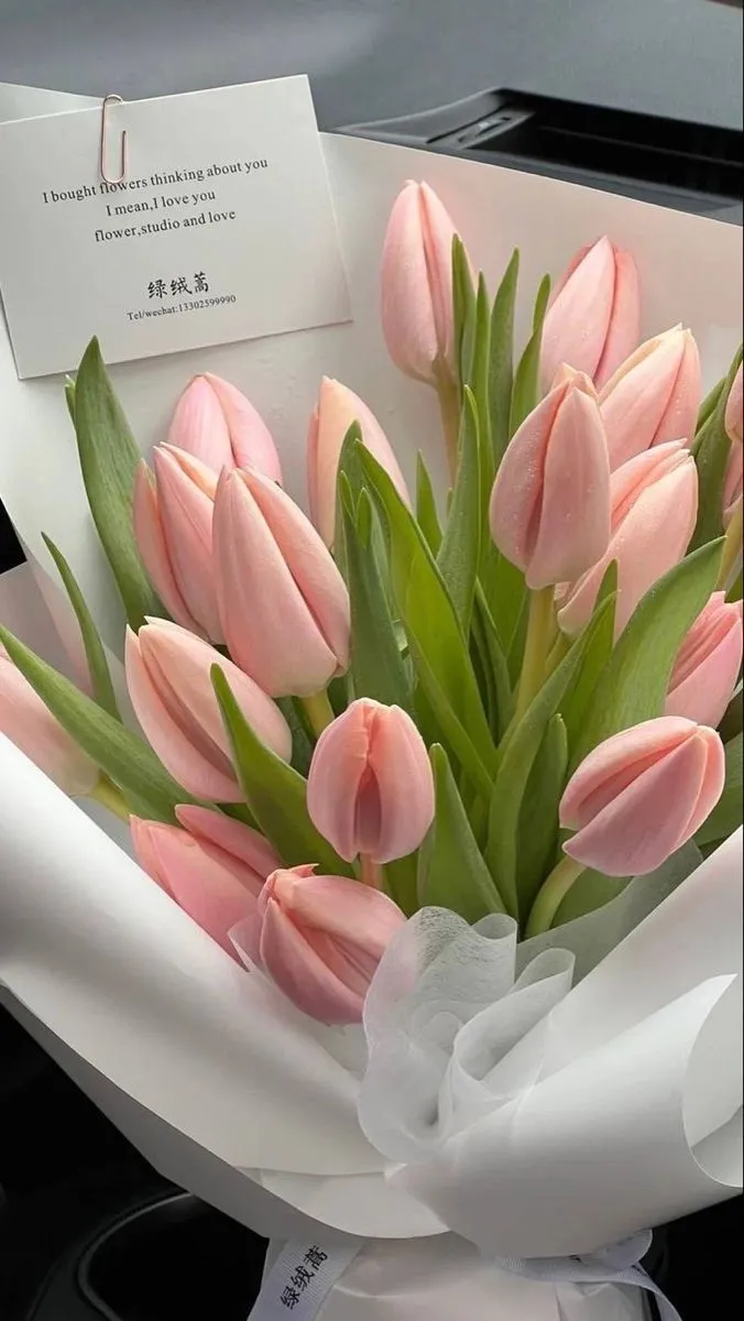 hinh nen hoa tulip innhanh.pro .vn 98