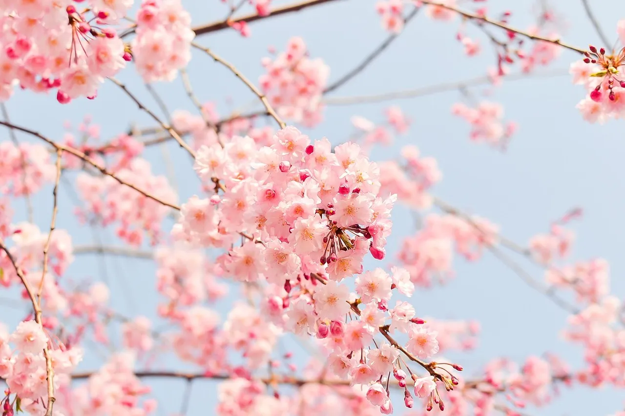 hinh nen may tinh innhanh.pro .vn 118