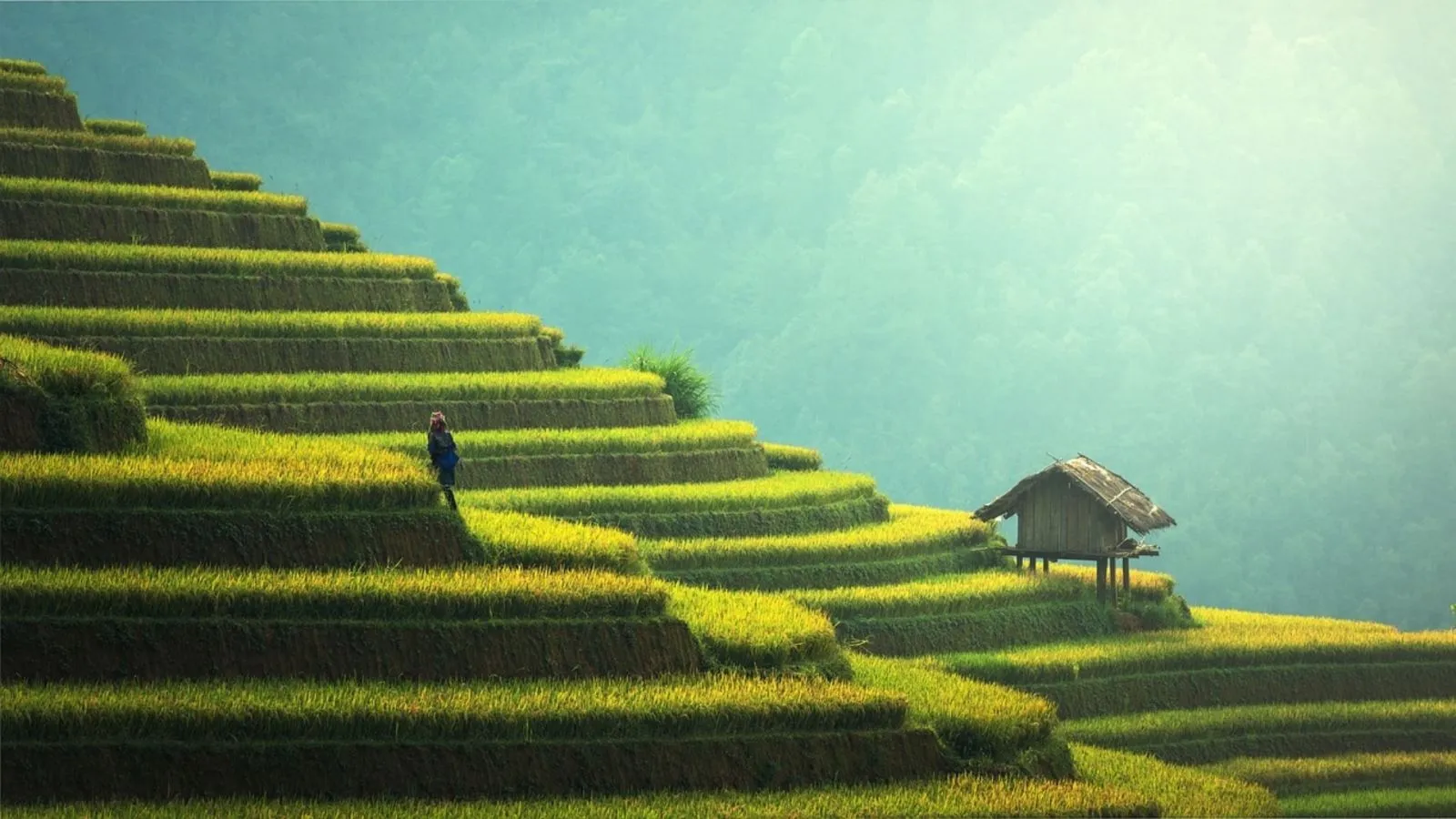 hinh nen may tinh innhanh.pro .vn 75