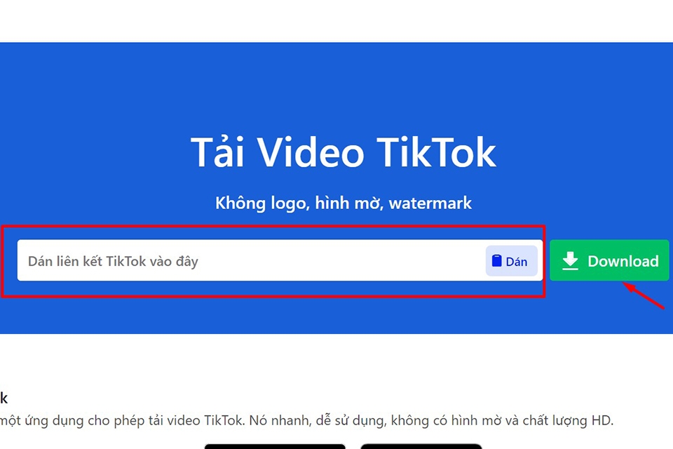 6 cách tải video TikTok trên máy tính (hình 14)