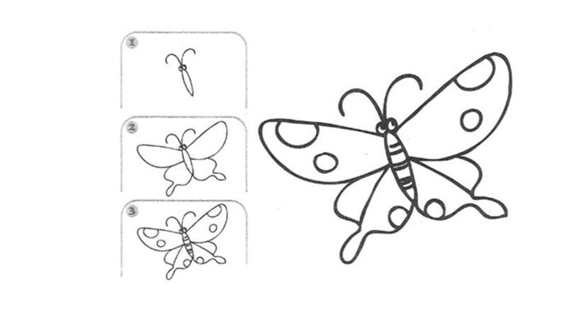 Cách vẽ con Bướm