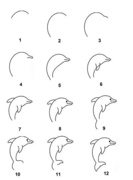 Cách vẽ con Cá Heo