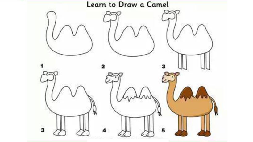 Cách vẽ con Đà Điểu