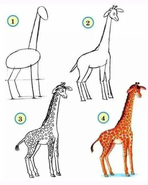 Cách vẽ con Hươu cao cổ