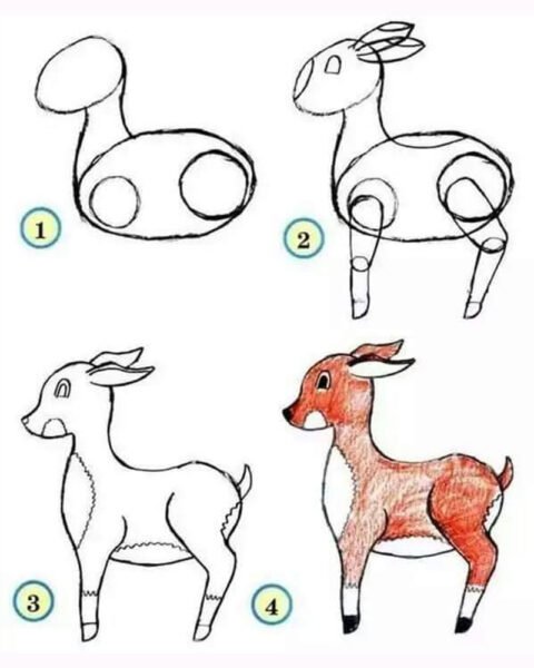 Cách vẽ con Nai