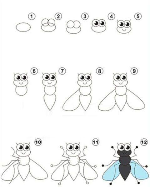 Cách vẽ con Ruồi