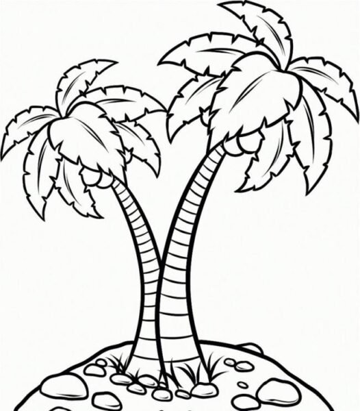 Hình cây dừa