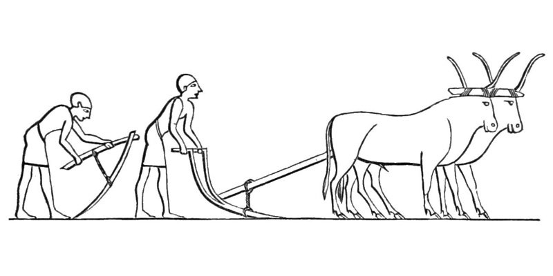 Hình tập tô bác nông dân (5)