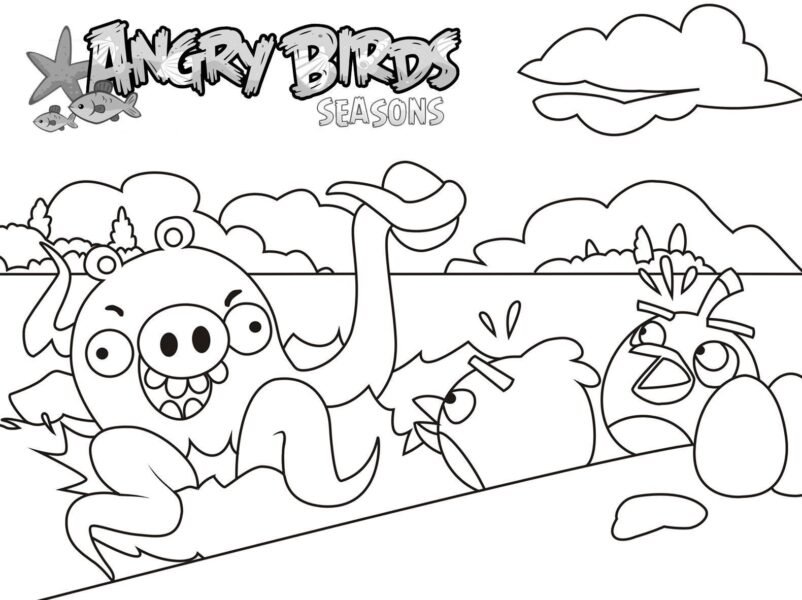 Hình tô màu Angry Birds cho bé tập tô (1)