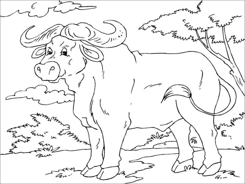 Hình tô màu con trâu đẹp nhất cho bé tập tô (3)