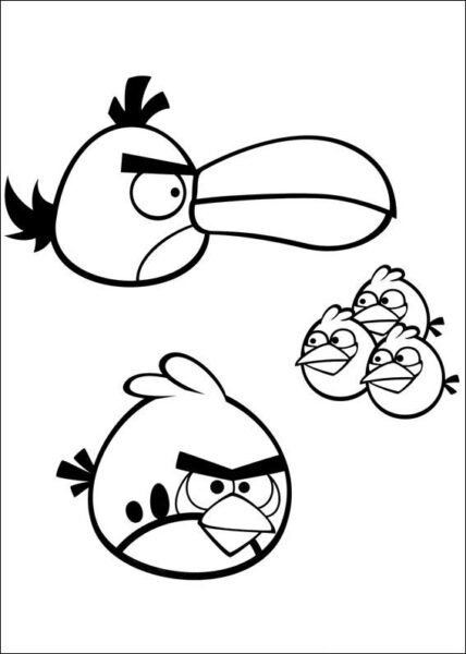 Hình vẽ chưa tô màu Angry Birds cho bé tập tô (5)
