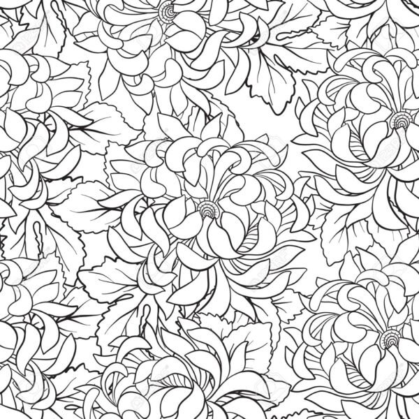 Seamless pattern with chrysanthemum in Japanese style. Outline d