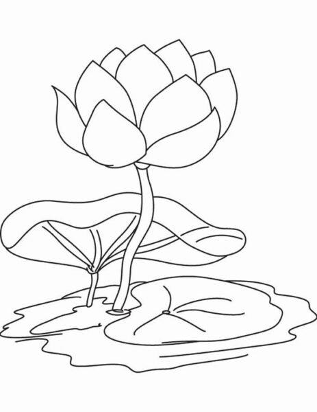 Mẫu tranh tô màu hoa sen cho bé tập tô (1)