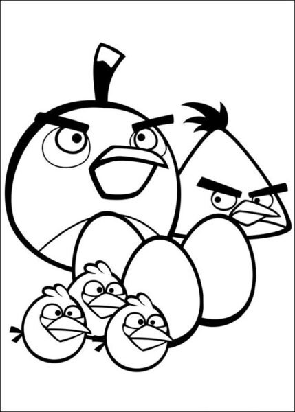 Tranh tô màu Angry Birds cho bé tập tô (30)