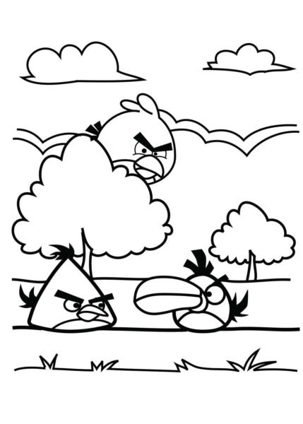 Tranh tô màu Angry Birds cho bé tập tô (36)