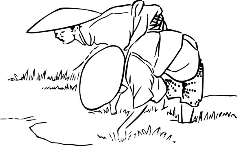 Tranh tô màu bác nông dân gặt lúa