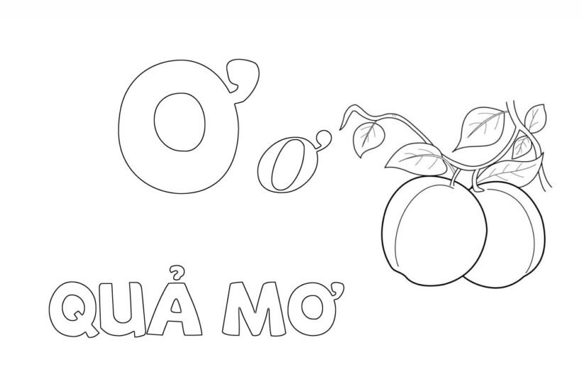 Tranh tô màu chữ ơ