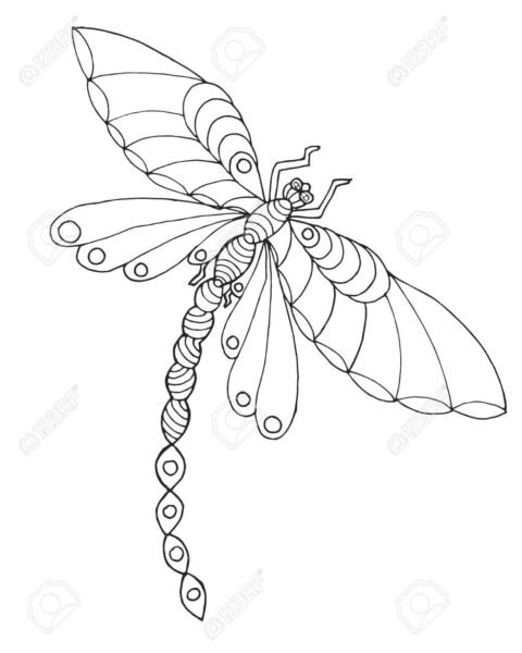 Zentangle stylized dragonfly.