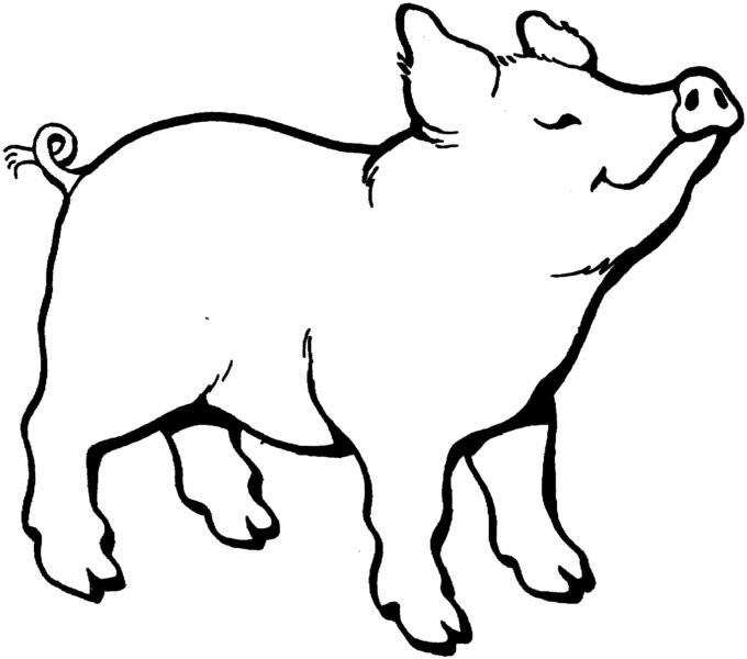 pig clipart black and white Best of Pig clipart black and white Pencil and in color pig clipart