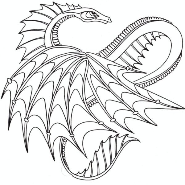 Dragon Coloring Pages For Adults Printable Dragon Coloring Pages Coloringstar