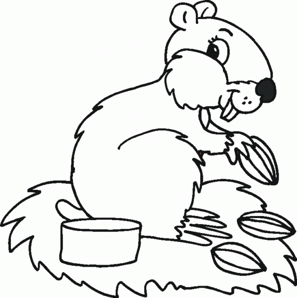 Tranh tô màu con sóc cho bé tập tô (3)