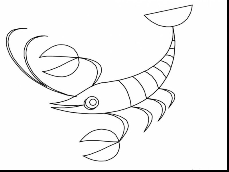 Tổng hợp các bức tranh tô màu con tôm đẹp nhất d
