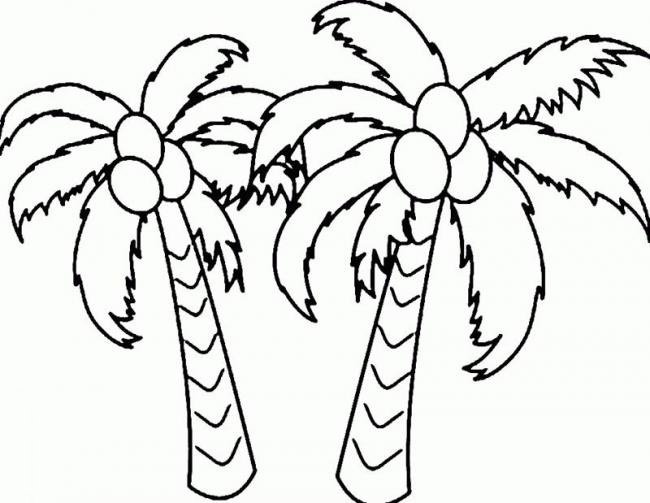 Tranh vẽ đen trắng cây dừa cho bé tô màu (3)