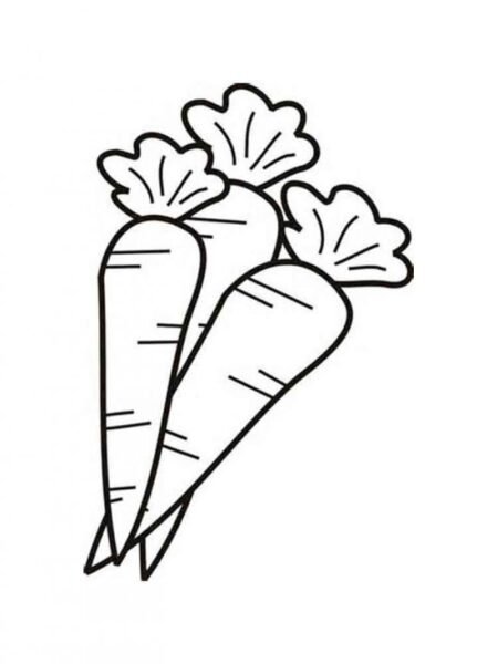 Vẽ rau củ quả đơn giản